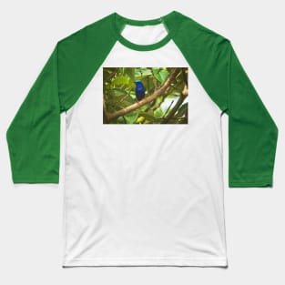 Cla blue bird Baseball T-Shirt